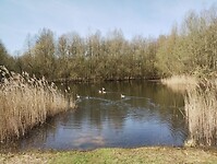 IMG_20260320_115926380