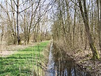 IMG_20260320_114700393