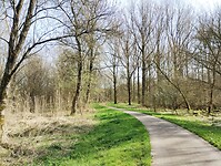 IMG_20260320_112951200