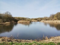 IMG_20260320_112358118