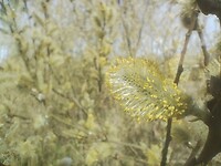 IMG_20260320_112157333