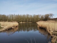 IMG_20260320_105710736