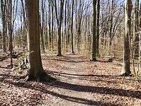 IMG_20260401_145630164