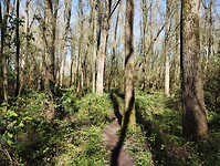 IMG_20260401_131943247