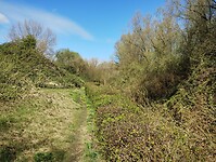 IMG_20260401_131615223