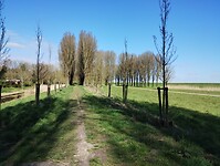 IMG_20260401_125856057
