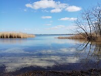 IMG_20260401_120348349