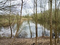 IMG_20260329_150538809