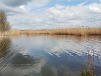 IMG_20260329_142508915