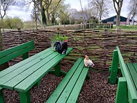 IMG_20260329_130256603_HDR