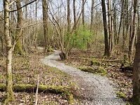 IMG_20260327_131514138