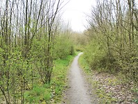 IMG_20260327_120235616