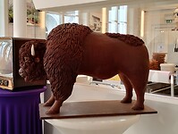 IMG_20260408_102649346_HDR