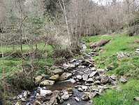 IMG_20260411_151830080