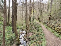 IMG_20260411_151655776