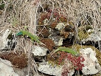 IMG_20260411_145727393_HDR