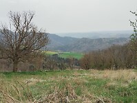 IMG_20260411_145542030