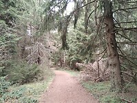 IMG_20260411_140823915