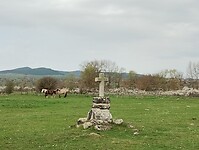 IMG_20260411_110644120