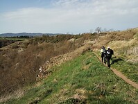 IMG_20260411_095650205