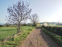 IMG_20260411_084714374