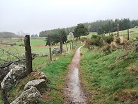 IMG_20260412_141410528