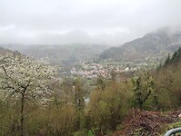 IMG_20260412_110003649