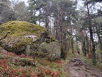 IMG_20260412_092646286_HDR