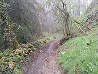 IMG_20260412_085316211