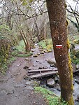 IMG_20260412_082542498