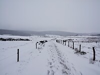 IMG_20260413_141143817