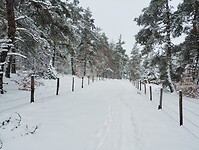 IMG_20260413_134819154