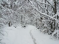 IMG_20260413_133553871