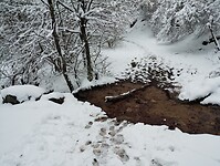 IMG_20260413_133144790