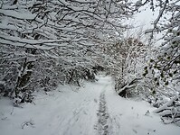 IMG_20260413_132820527