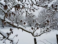 IMG_20260413_113917441