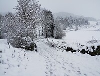 IMG_20260413_113823132