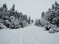 IMG_20260413_094118821