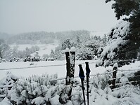 IMG_20260413_093445914