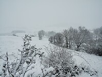 IMG_20260413_084842964