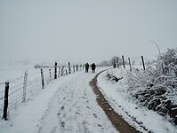 IMG_20260413_082843952