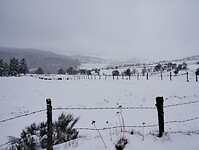 IMG_20260413_131826222
