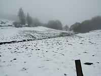 IMG_20260414_091533489