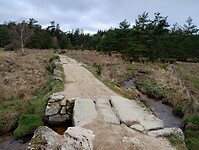 IMG_20260414_095455241_HDR