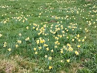 IMG_20260414_094527197