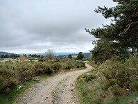 IMG_20260414_094105310_HDR