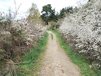 IMG_20260414_110025763