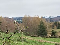 IMG_20260414_101943806