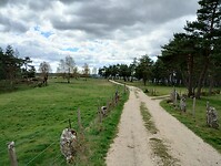 IMG_20260414_151632033_HDR