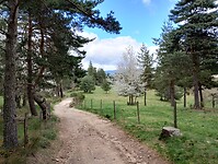 IMG_20260414_143121454_HDR